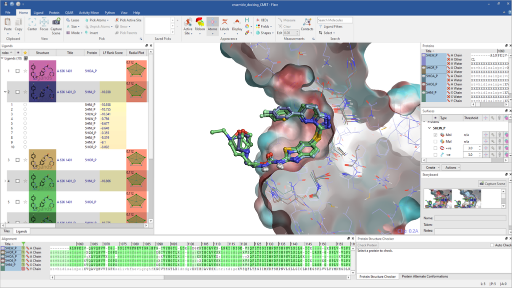 Figure 1: Docking is a structure-based virtual screening method that prioritizes ligands based on their predicted binding affinities to the biological target.