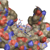 Drug repurposing for ovarian cancer newsletter image