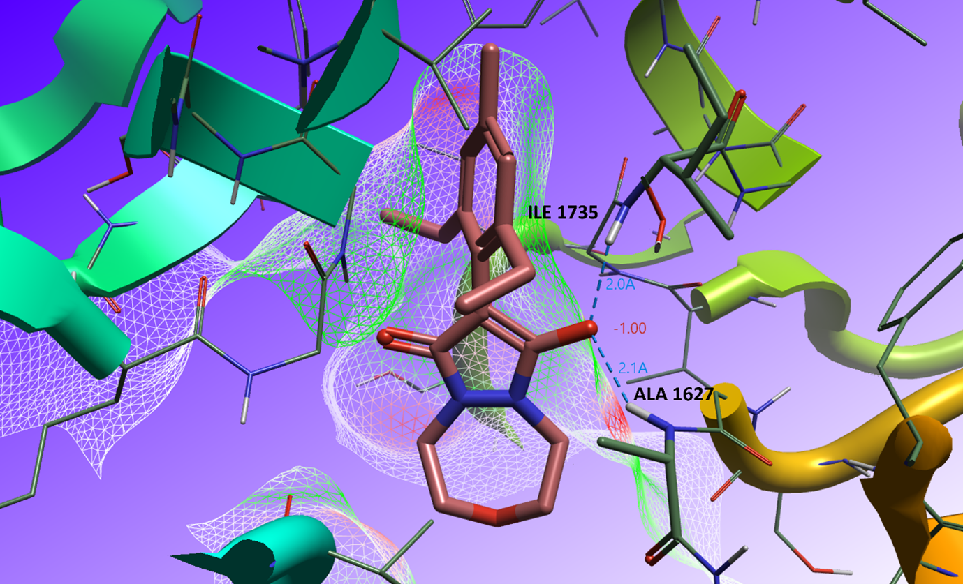 Figure 2 Bioactive conformation in the binding site of ACCase