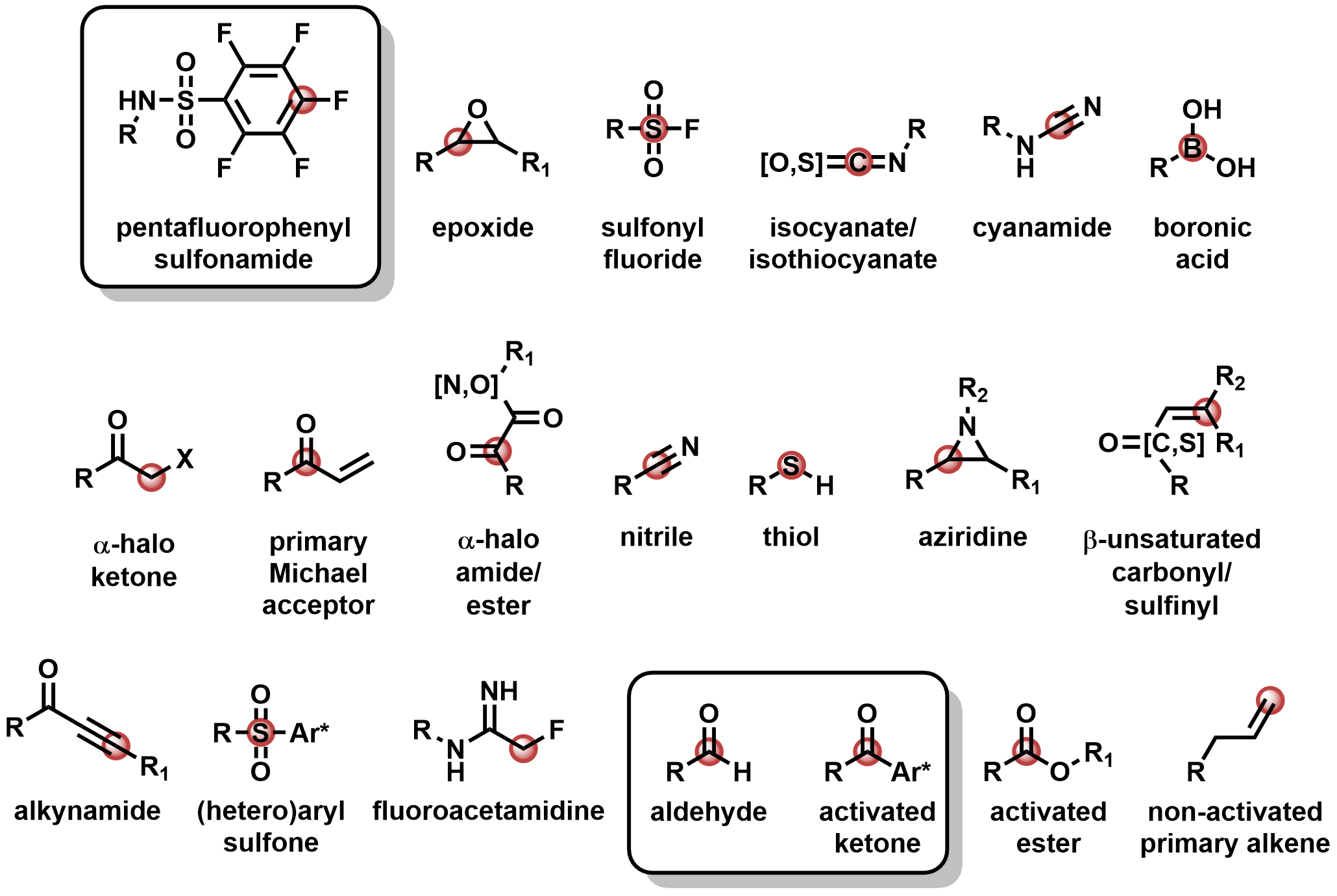 Covalent warheads currently available in Flare V7