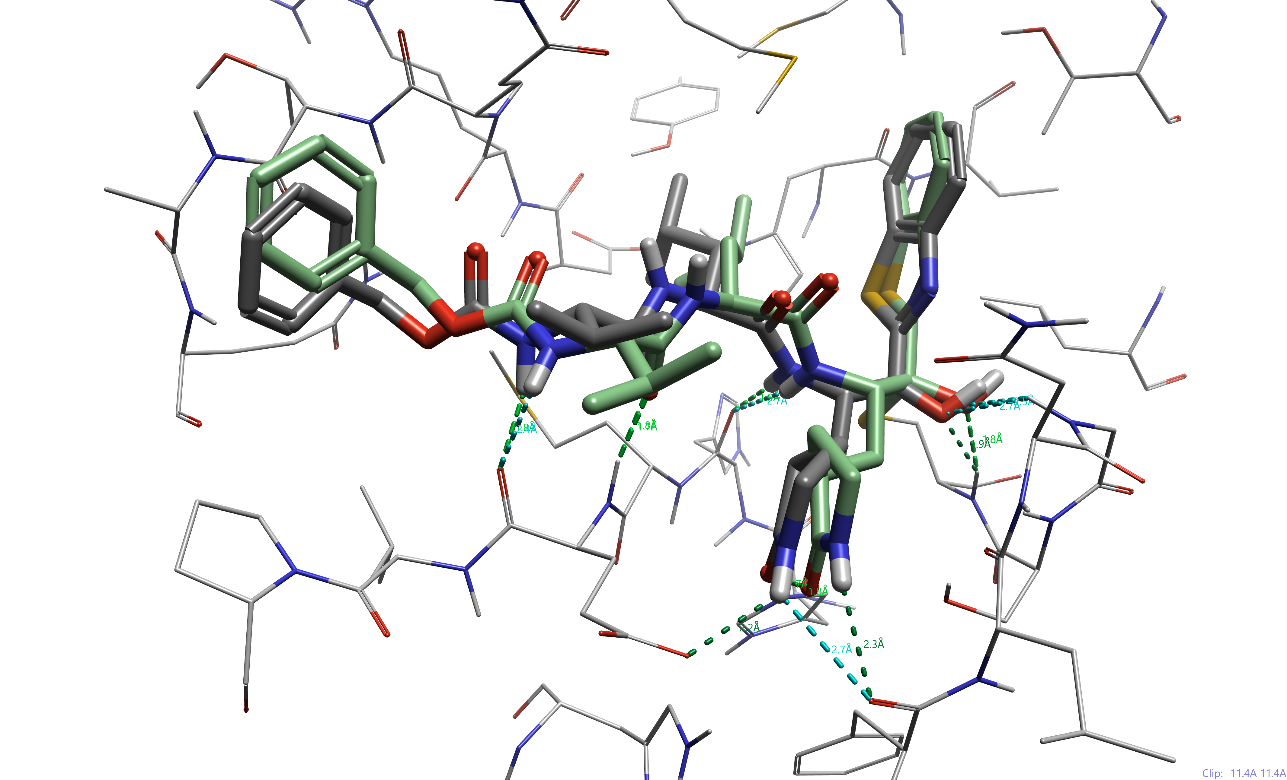 Compound YH-53 docked to SARS-CoV2 3CL Pro (pdb 7E19)